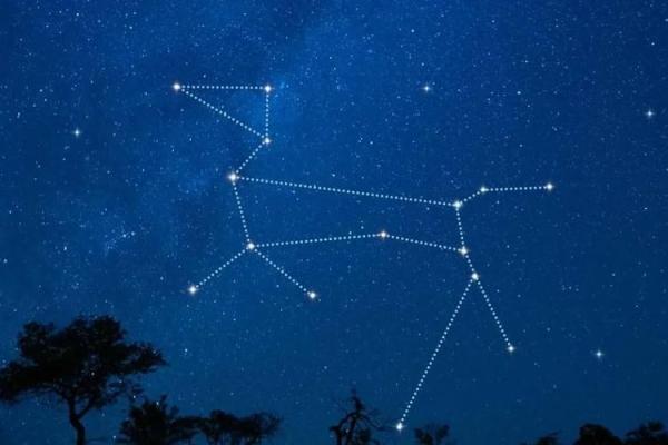 星座小知识：大犬座在什么季节出现