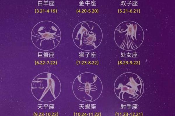 12生肖星座运势完整版