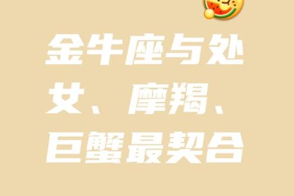 金牛座和哪个星座最配在一起最合适