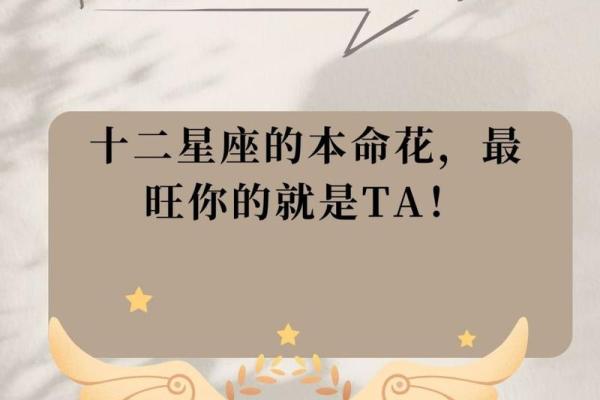 生日命运：六月一日是什么星座？