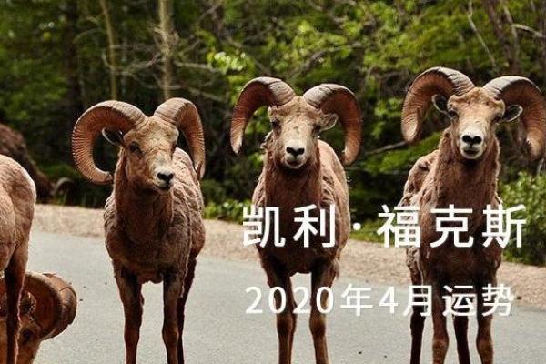 凯利7月星座运势怎么样