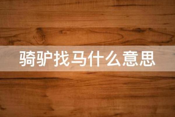 哪个星座骑驴找马好