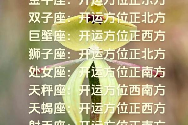 星座今年年底运势