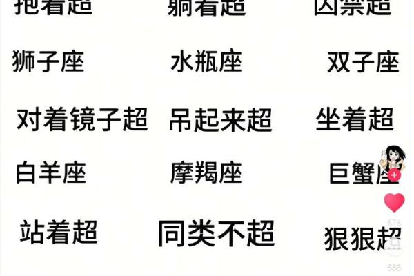 十二星座谁最适合哪个工作