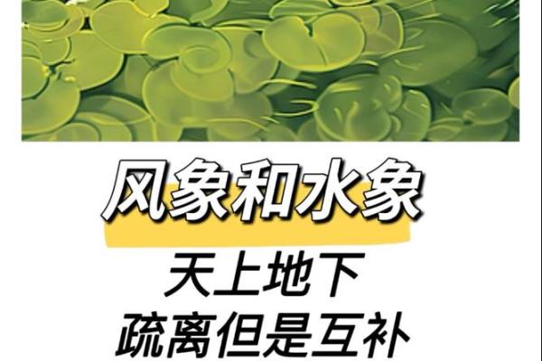 风象星座和水象星座