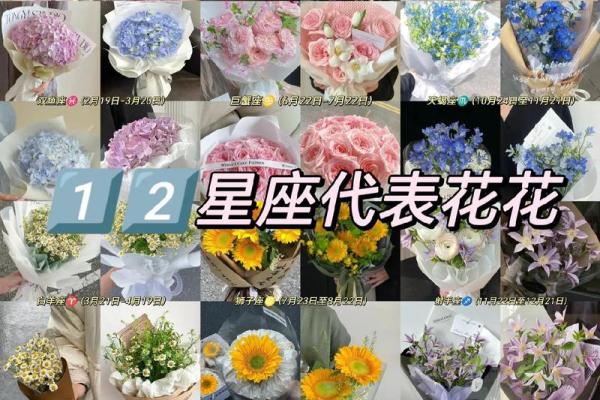 十二星座最适合用什么样的花