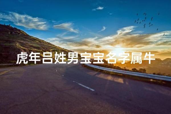 中午1点出生的属牛男孩适合取什么名字姓名