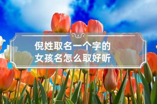 倪姓女孩名字大全-倪姓女孩起名字大全-倪姓名字大全姓名