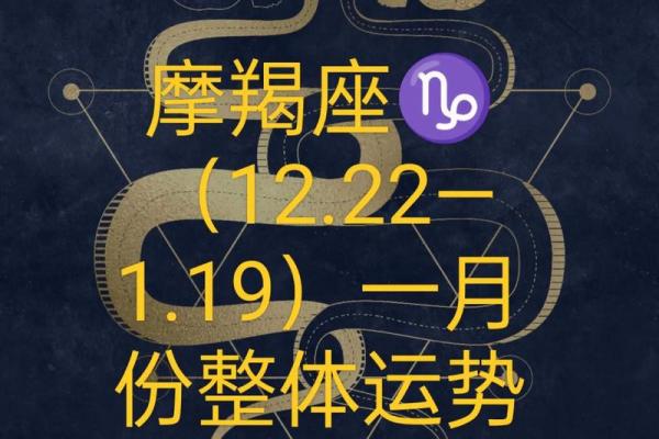 塔罗牌各星座12月运势