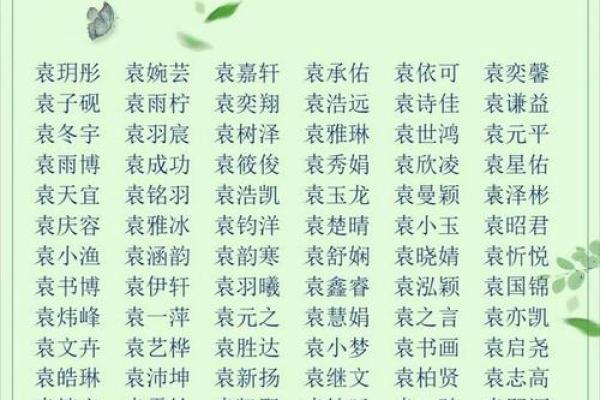 2019年3月29号丑时出生的男孩应该起什么样的名字姓名