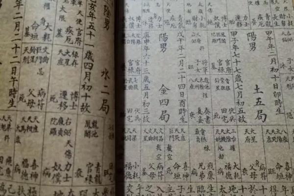 紫薇斗数命盘排盘软件