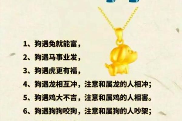 2018年生肖狗宝宝如何取名？狗宝宝取名有何禁忌？-华易网姓名
