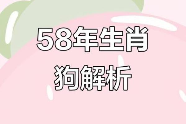 属狗巳时出生的男孩怎样取名字姓名 属狗巳时出生的男孩怎样取名字姓名