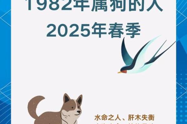 属狗巳时出生的男孩怎样取名字姓名 属狗巳时出生的男孩怎样取名字姓名