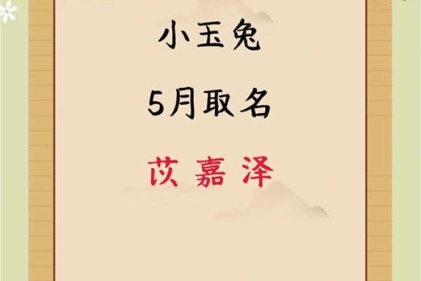 属兔卯时出生的男孩取名宜用什么字姓名