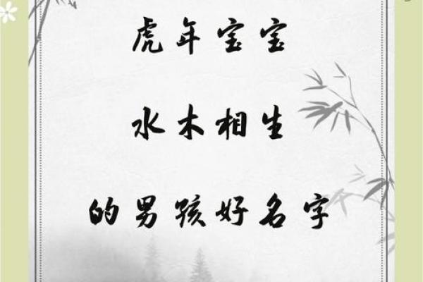 2019年5月17号寅时出生的男孩起名方法姓名 2019年5月17号寅时出生的男孩起名方法姓名