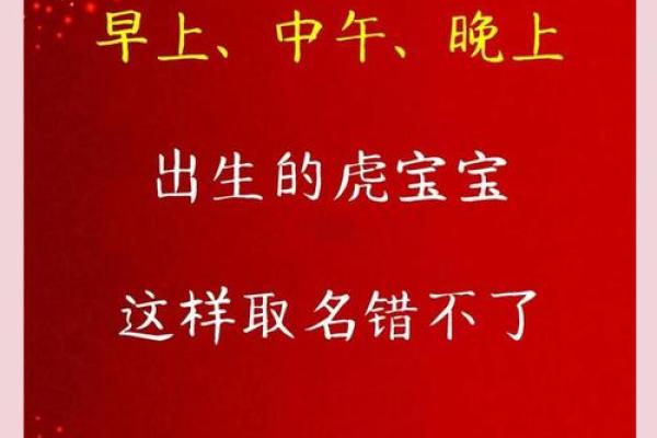 12月份出生的属虎男孩如何取名字姓名