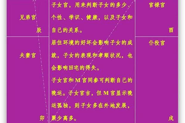 紫微斗数主强宾若 紫微斗数强宫？