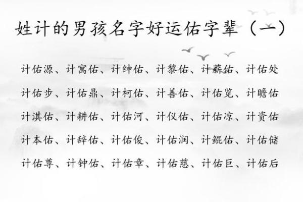 2019年出生的姓胡男孩如何起名,宜用什么字姓名 2019年出生的姓胡男孩如何起名,宜用什么字姓名