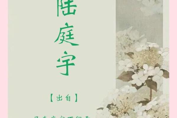 2019年出生的姓胡男孩如何起名,宜用什么字姓名 2019年出生的姓胡男孩如何起名,宜用什么字姓名