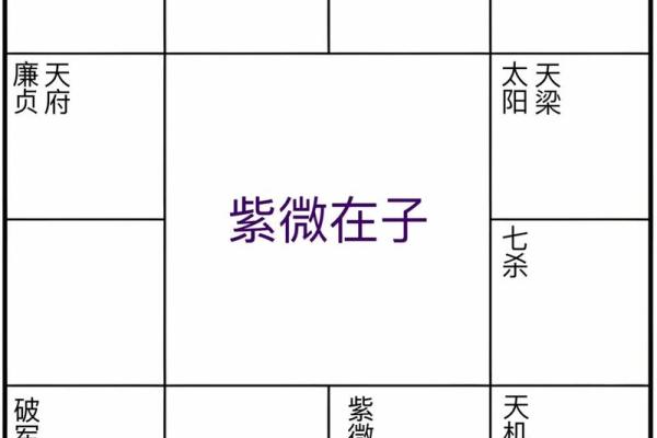 紫薇斗数如何排盘图 紫薇斗数如何排盘图