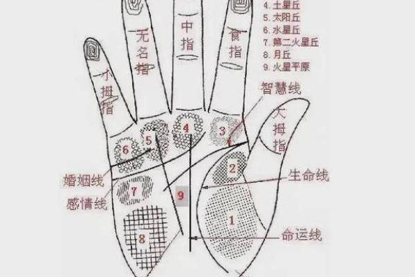 手相算命婚姻线详解 手相算命婚姻线详解