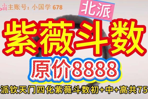 紫薇斗数实战视频 紫薇斗数实战视频
