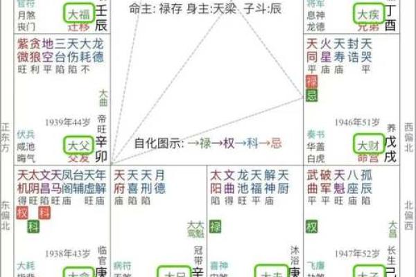 紫薇斗数限流盘 紫薇斗数限流盘