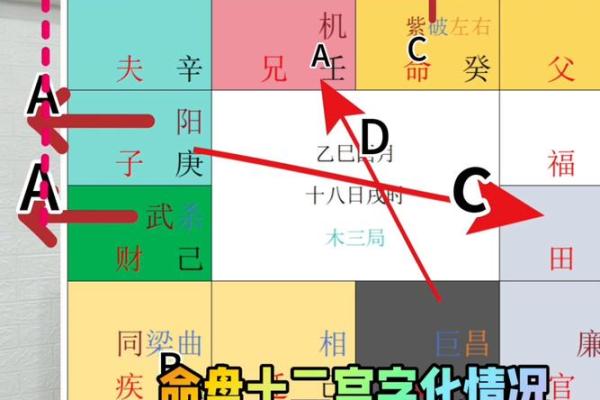 台湾紫微斗数小限派 紫微斗数小限排盘? 台湾紫微斗数小限派 紫微斗数小限排盘?