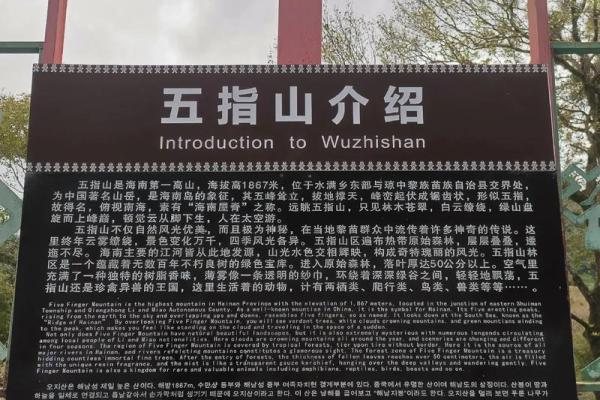 五指山算命哪里准 五指山算命哪里准