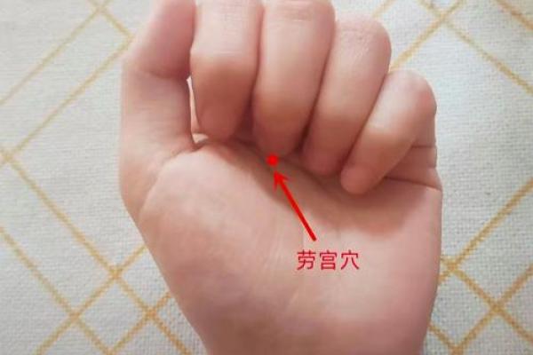 五指山算命哪里准 五指山算命哪里准