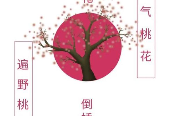 算命说今年犯倒插桃花 算命说今年犯倒插桃花