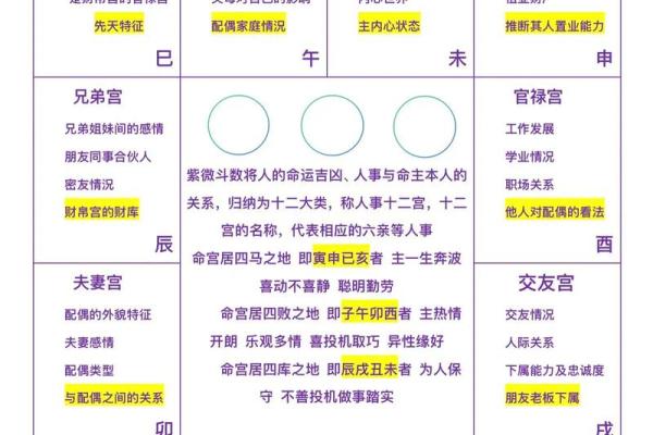 紫薇斗数华盖在官禄宫