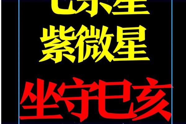 紫薇斗数的财星和官星 紫薇斗数的财星和官星