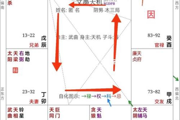 紫薇斗数中同度什么意思