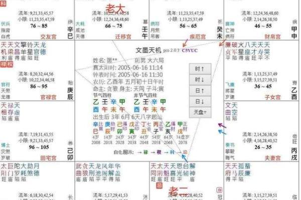 紫薇斗数排盘姓名