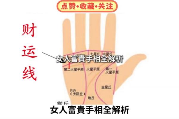 算命看手相算命图解 女性子女线