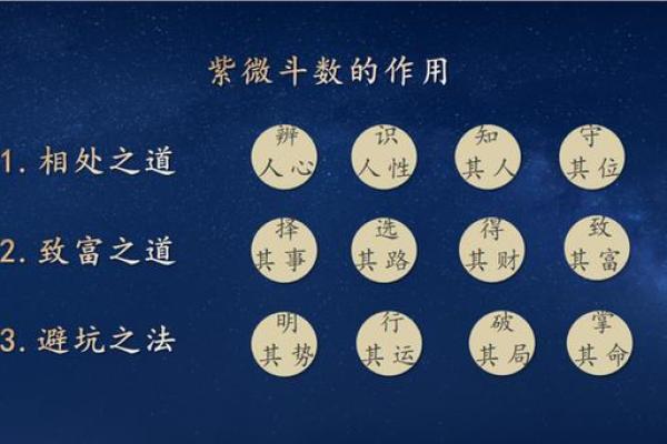 紫薇斗数杨老师