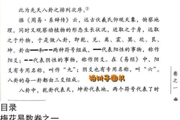 用梅花易数怎么算命