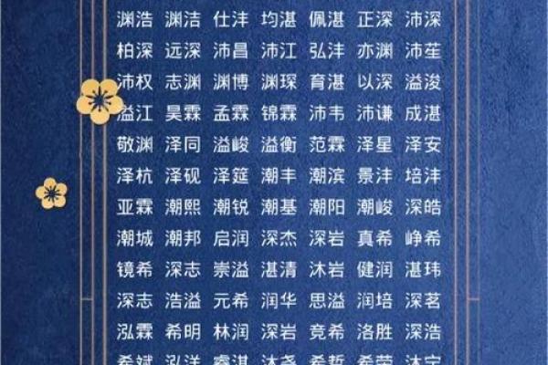 2019年6月19号寅时出生的男孩应该起什么样的名字姓名