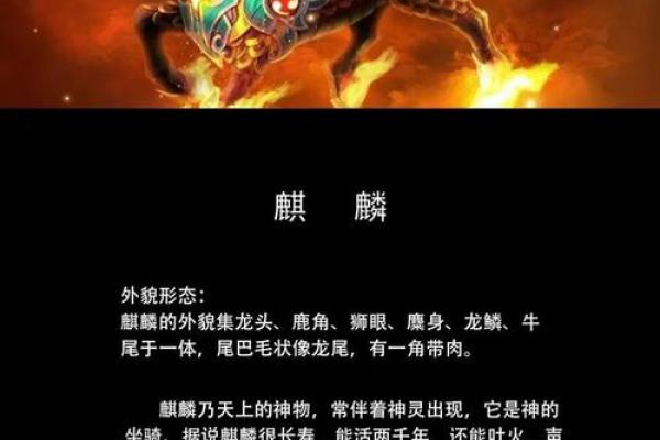 麒麟算命 麒麟算命