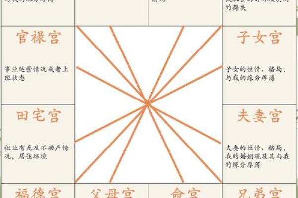 紫薇斗数看事业起色 紫薇斗数看事业起色