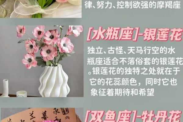 十二星座适合什么盆栽好看的花