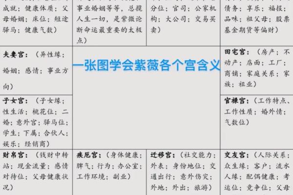 紫微斗数命盘解析：十二宫位