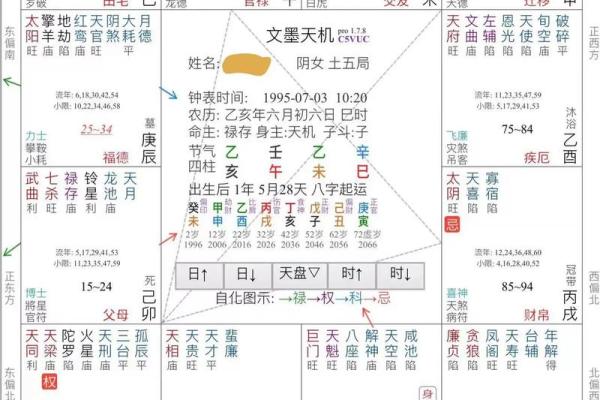 紫微斗数命盘解析：十二宫位