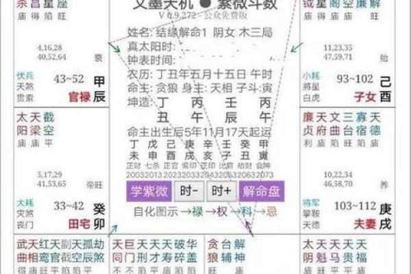 紫薇斗数好命盘