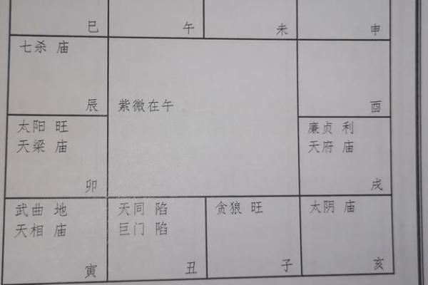紫薇斗数好命盘