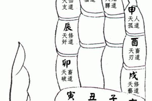 一掌经算命实例
