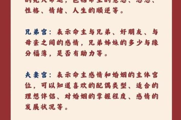 紫薇斗数二胎看那个宫位
