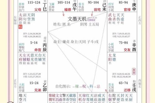 紫微斗数诸星落诸宫之：巨门星子女宫详解